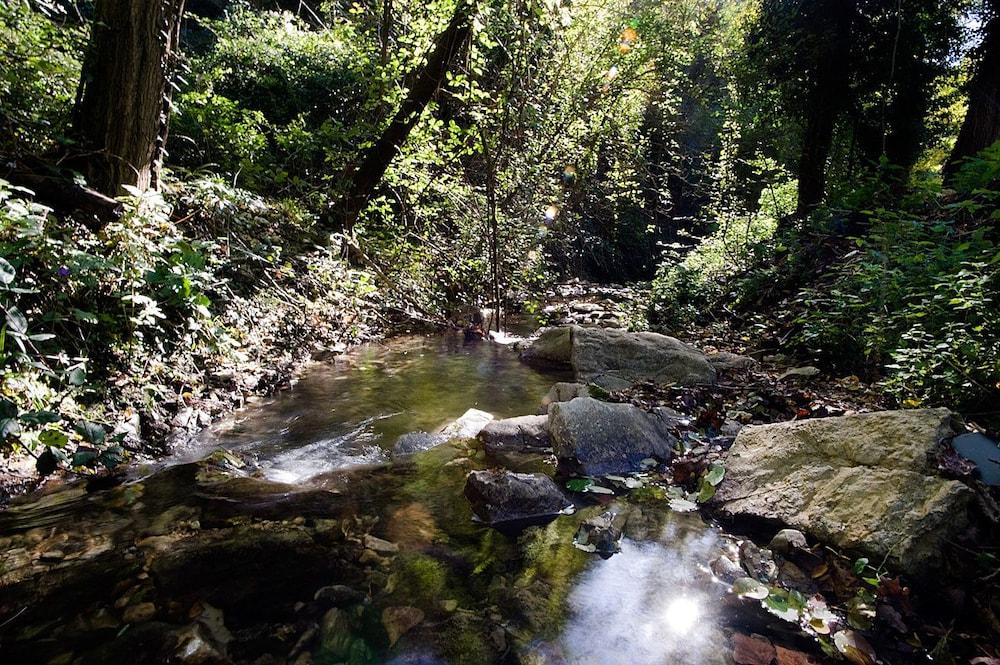 Hotel La Selva كالينْسانو المظهر الخارجي الصورة